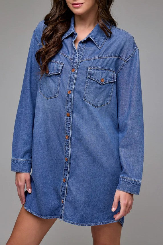 Darlene Shirt Dress